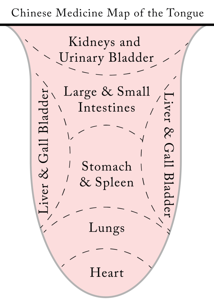 Traditional Chinese Medicine (TCM) Tongue Diagnosis